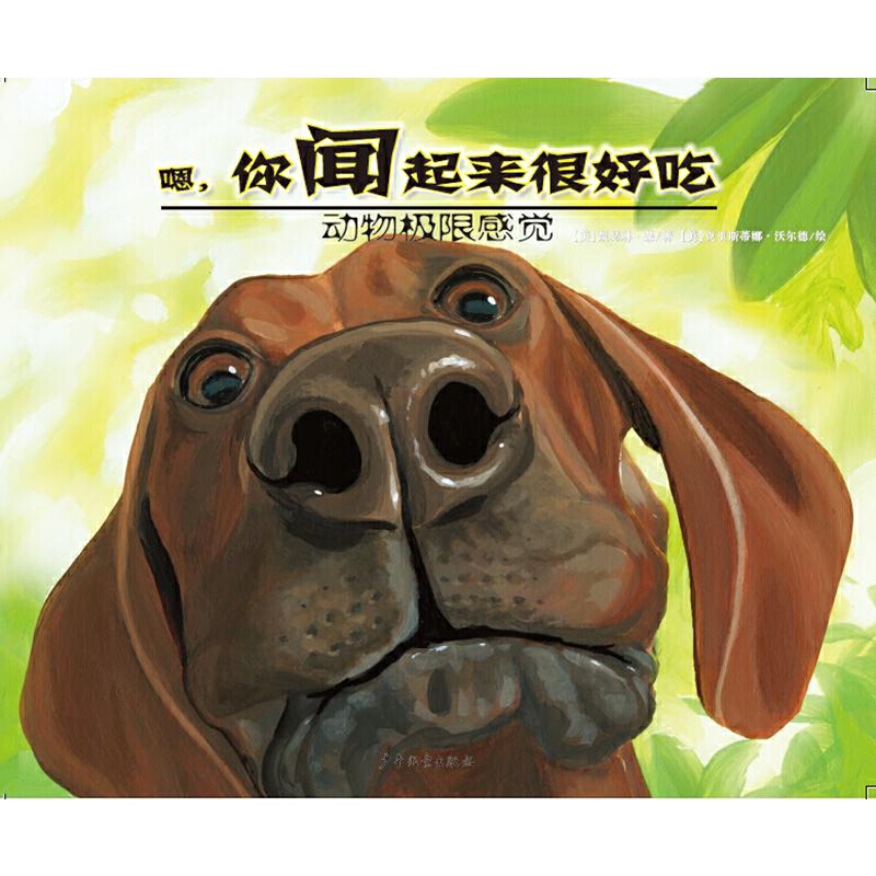 O޸X-ܺó