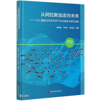 İ˹δ(li)--CO2ÓQ_Ȼˮ＼g(sh)оM(jn)չ()/ϵ/ʯʯW(xu)g(sh)Ď(k)
