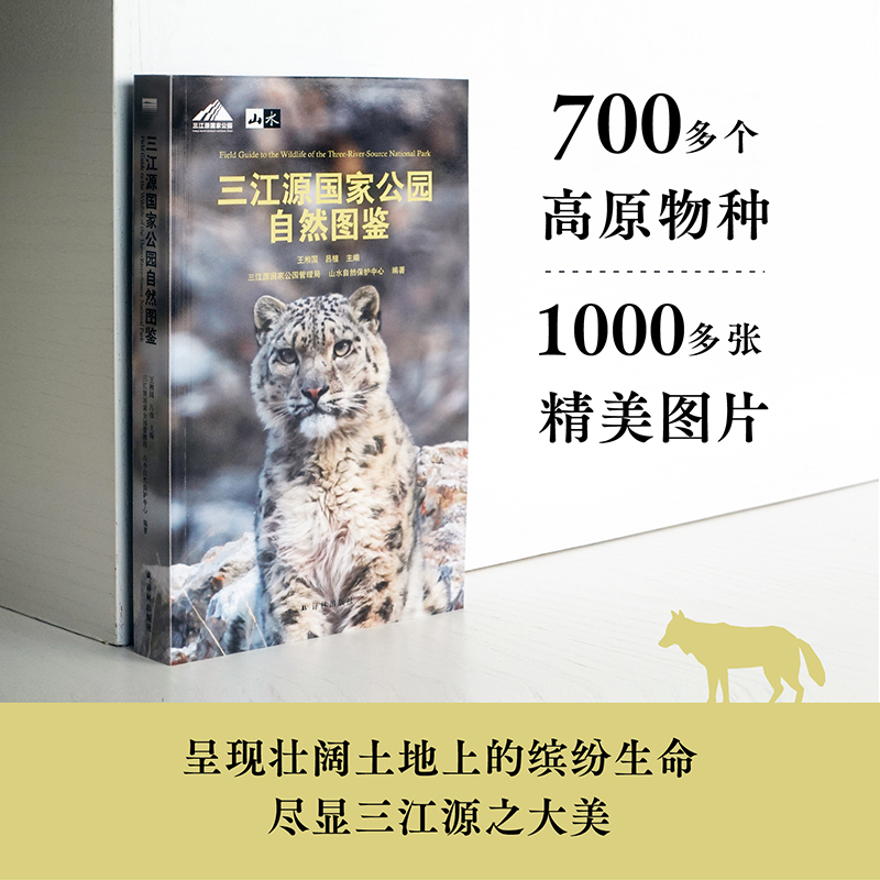 Դҹ@ȻDb 700ԭN1000DƬʬF(xin)ϵ_H