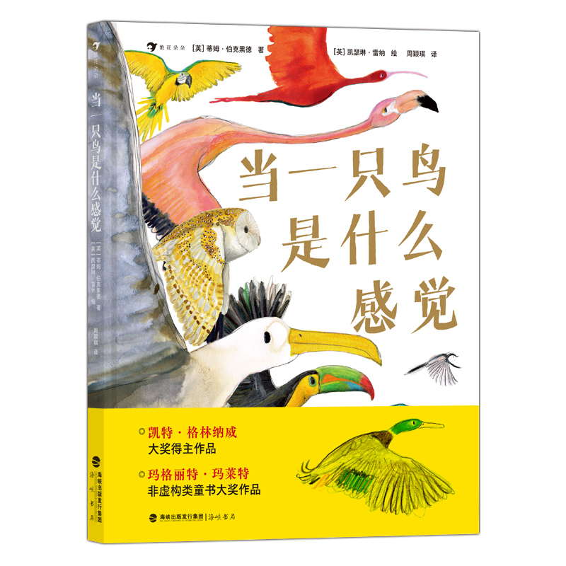 (dng)һֻBʲôX c(gu)HBW(xu)ҡ宋(jing)һ ̽B(d)صʽ