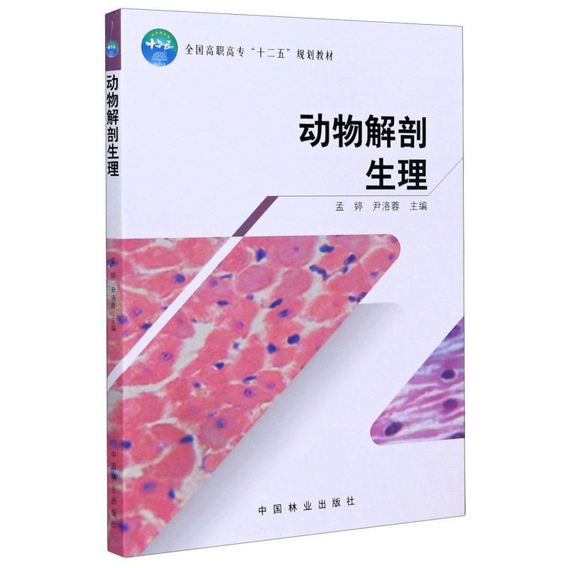 ߌʮ壩