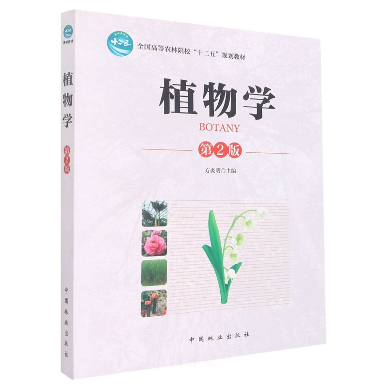 ֲWʮ壩