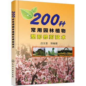 200NÈ@ֲ޼g